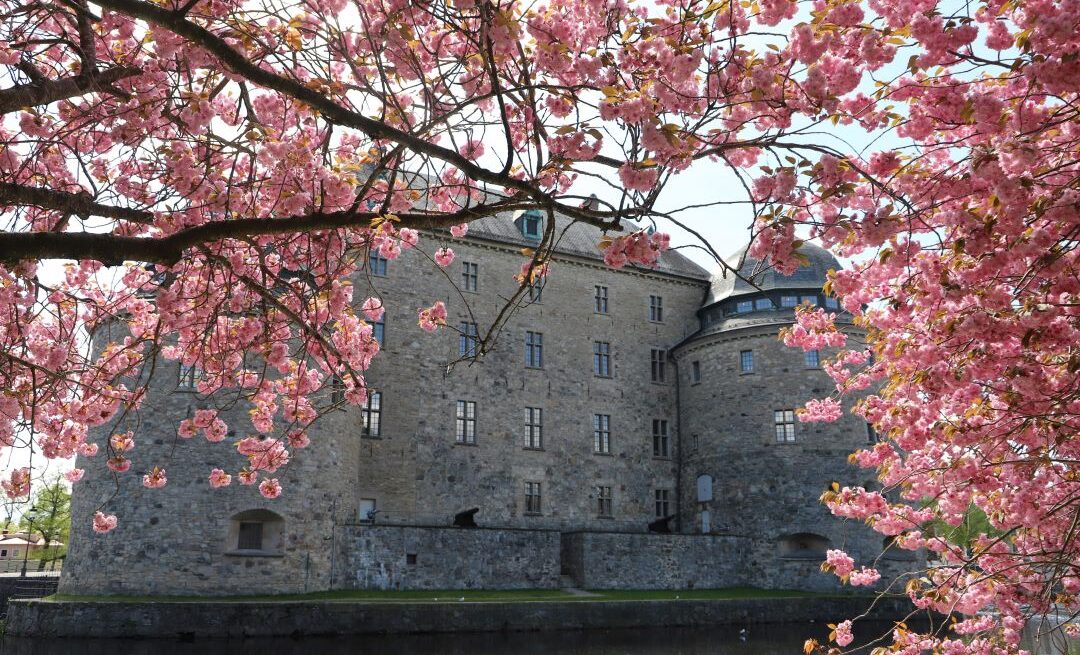 großes Stein Gebäude neben einem Gewässer mit Blumen im Vordergrund